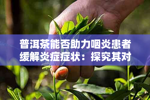 普洱茶能否助力咽炎患者缓解炎症症状：探究其对咽喉炎的缓解作用