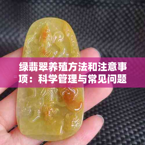 绿翡翠养殖方法和注意事项：科学管理与常见问题解答