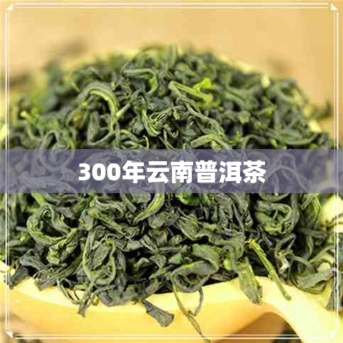 300年云南普洱茶