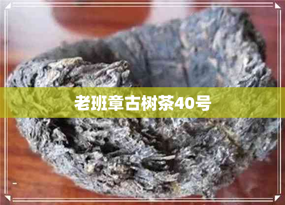 老班章古树茶40号
