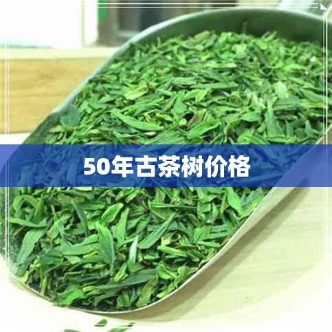50年古茶树价格