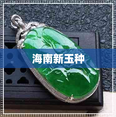 海南新玉种