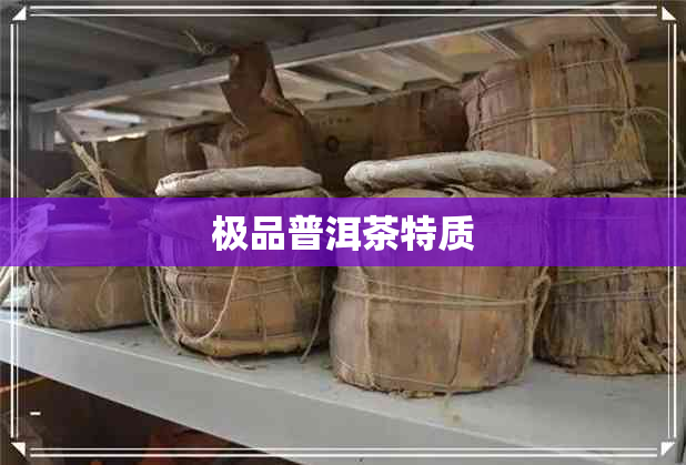极品普洱茶特质