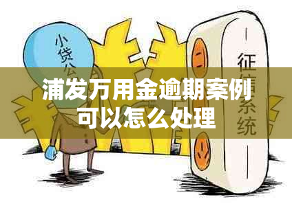 浦发万用金逾期案例可以怎么处理