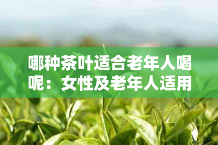 哪种茶叶适合老年人喝呢:女性及老年人适用的茶品推荐