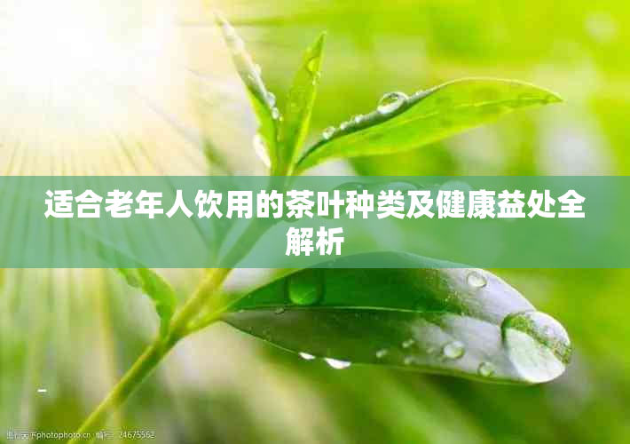 适合老年人饮用的茶叶种类及健康益处全解析