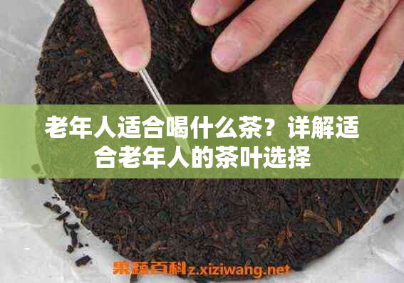 老年人适合喝什么茶?详解适合老年人的茶叶选择