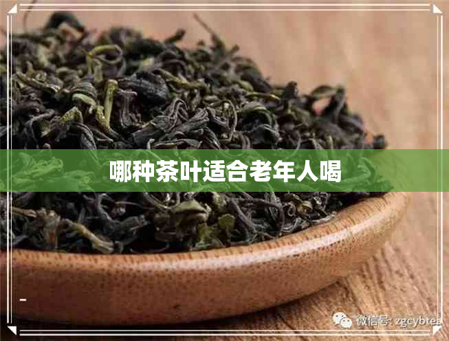 哪种茶叶适合老年人喝 哪种茶叶适合老年人喝