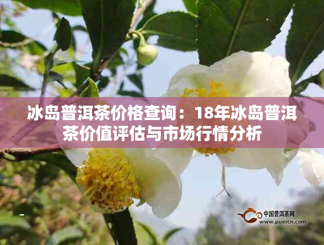 冰岛普洱茶价格查询:18年冰岛普洱茶价值评估与市场行情分析