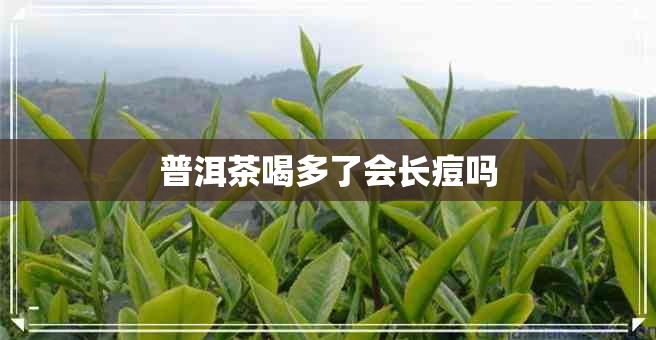 普洱茶喝多了会长痘吗