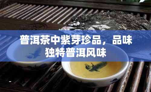 普洱茶中紫芽珍品,品味独特普洱风味