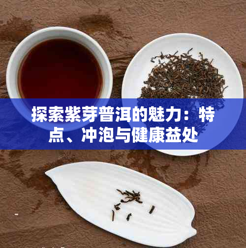 探索紫芽普洱的魅力:特点、冲泡与健康益处