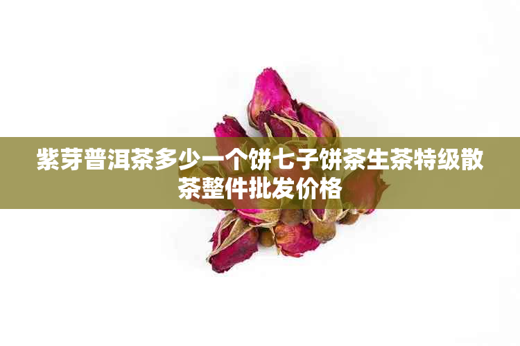 紫芽普洱茶多少一个饼七子饼茶生茶特级散茶整件批发价格