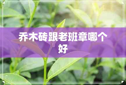 乔木砖跟老班章哪个好