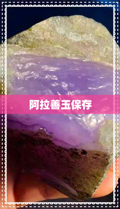 阿拉善玉保存