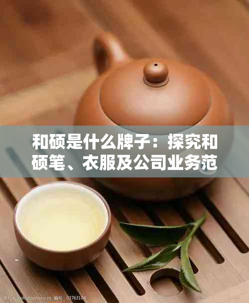 和硕是什么牌子:探究和硕笔、衣服及公司业务范围