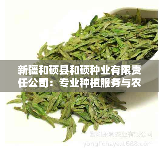 新疆和硕县和硕种业有限责任公司:专业种植服务与农业发展先锋