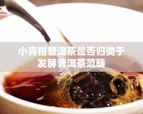 小青柑普洱茶是否归类于发酵普洱茶范畴