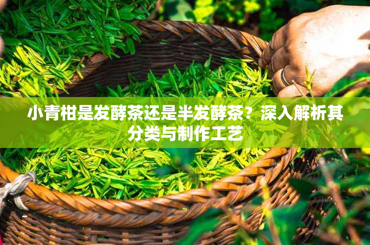 小青柑是发酵茶还是半发酵茶?深入解析其分类与制作工艺