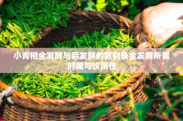 小青柑全发酵与后发酵的区别及全发酵所需时间与饮用性