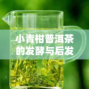 小青柑普洱茶的发酵与后发酵区别