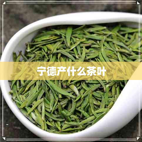 宁德产什么茶叶