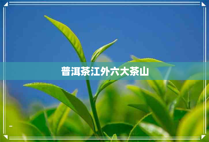 普洱茶江外六大茶山