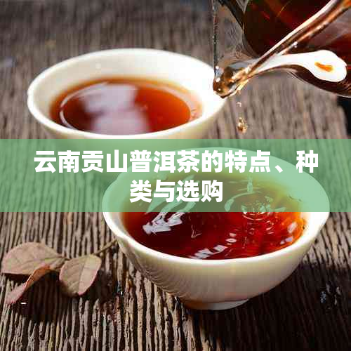 云南贡山普洱茶的特点、种类与选购
