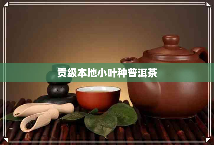 贡级本地小叶种普洱茶