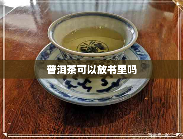 普洱茶可以放书里吗