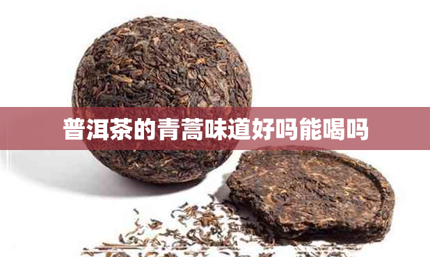 普洱茶的青蒿味道好吗能喝吗