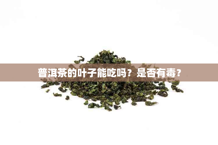 普洱茶的叶子能吃吗?是否有?