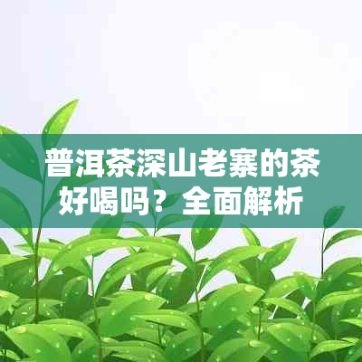 普洱茶深山老寨的茶好喝吗?全面解析老寨普洱茶的特点与口感