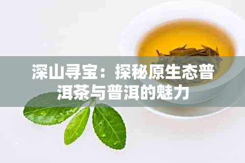 深山寻宝:探秘原生态普洱茶与普洱的魅力