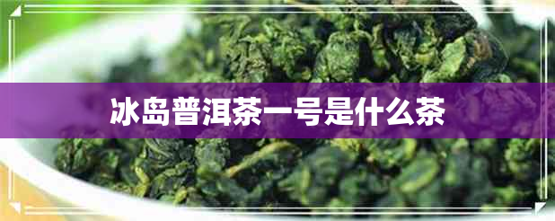 冰岛普洱茶一号是什么茶
