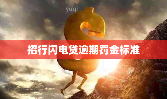招行闪电贷逾期罚金标准