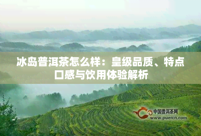 冰岛普洱茶怎么样：皇级品质、特点口感与饮用体验解析