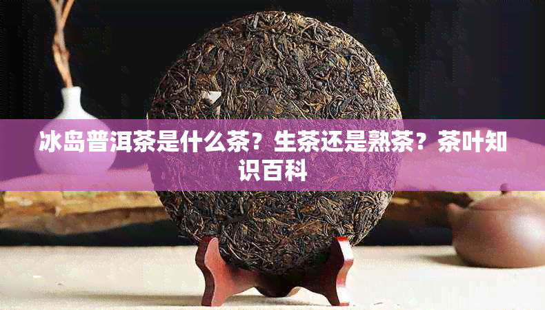 冰岛普洱茶是什么茶？生茶还是熟茶？茶叶知识百科
