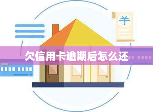 欠信用卡逾期后怎么还