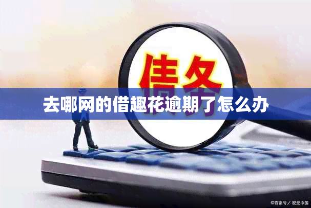 去哪网的借趣花逾期了怎么办