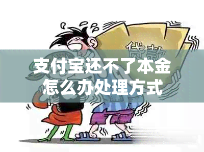 支付宝还不了本金怎么办处理方式