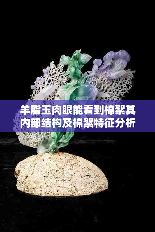 羊脂玉肉眼能看到棉絮其内部结构及棉絮特征分析