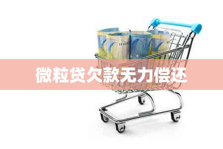 微粒贷欠款无力偿还