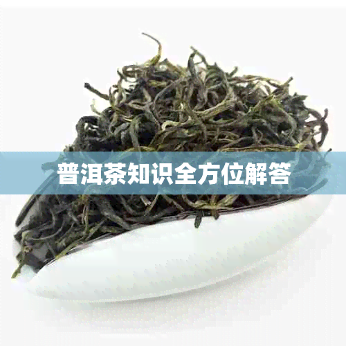 普洱茶知识全方位解答