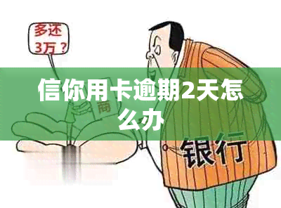 信你用卡逾期2天怎么办