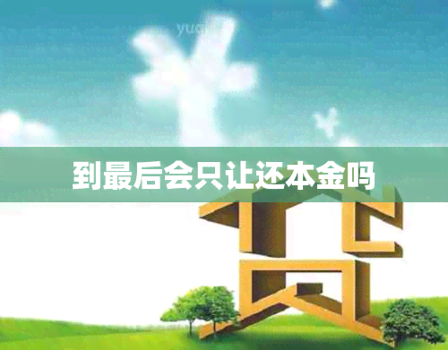 到最后会只让还本金吗