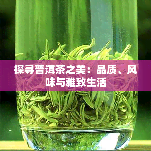 探寻普洱茶之美：品质、风味与雅致生活