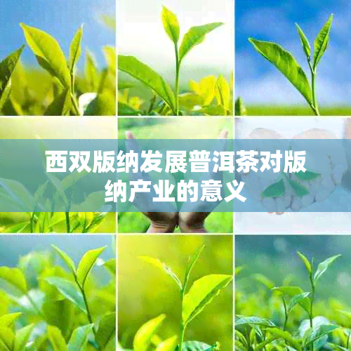 西双版纳发展普洱茶对版纳产业的意义