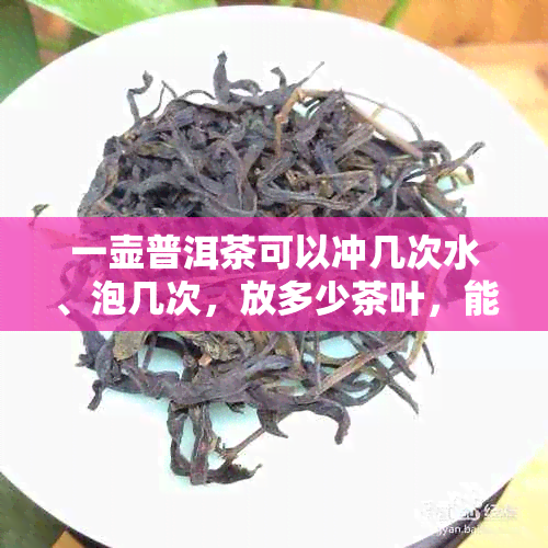 一壶普洱茶可以冲几次水、泡几次，放多少茶叶，能喝多久