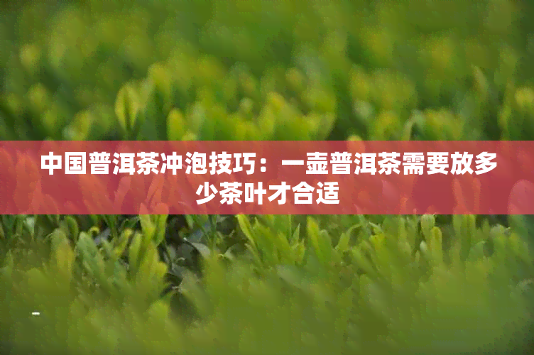 中国普洱茶冲泡技巧：一壶普洱茶需要放多少茶叶才合适